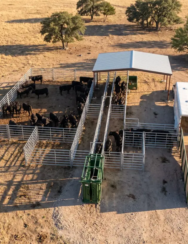 Aerial view of the finished S17 corral