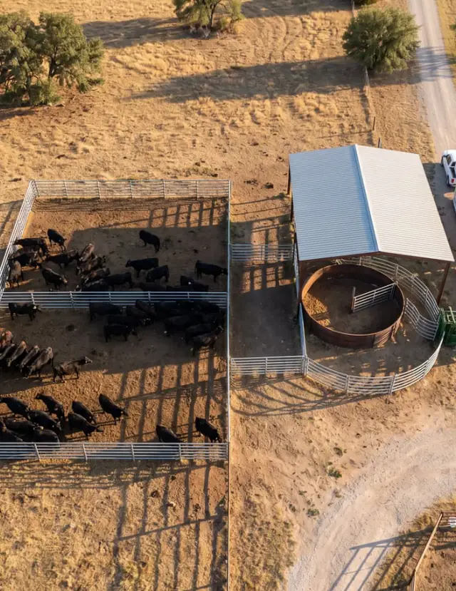 Aerial view of the finished M37 corral