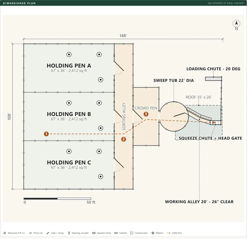 Dimensioned plan drawn to scale with cattle flow marked